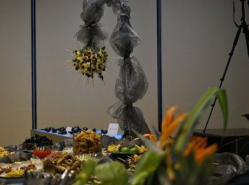Dream Team Catering Nunta Bucuresti