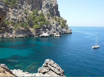 Top Travel Service Nunta Bucuresti