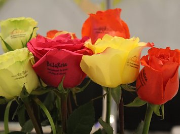 BellaRosa Nunta Bucuresti