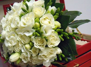 Expert Flower Nunta Bucuresti