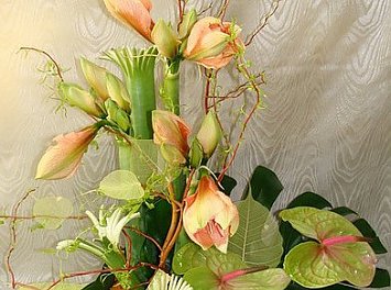 Floraria Staning Nunta Bucuresti