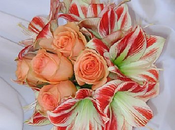 Smart  Flowers Design Nunta Bucuresti