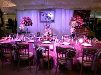 Vivianne Decor Nunta Bucuresti