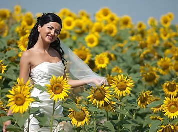 Foto Studio Enigma Nunta Bucuresti