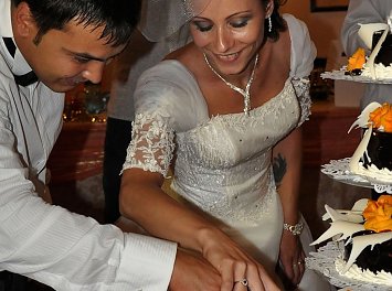 Ileana Olteanu Nunta Bucuresti