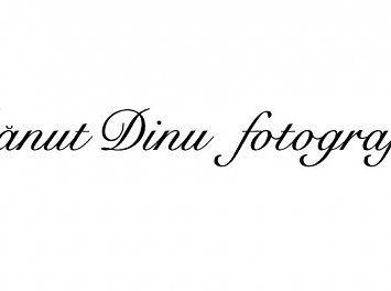 Danut Dinu Nunta Bucuresti