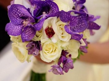 Purple Effect Events Nunta Bucuresti