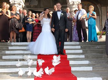 Porumbei de nunta Nunta Bucuresti